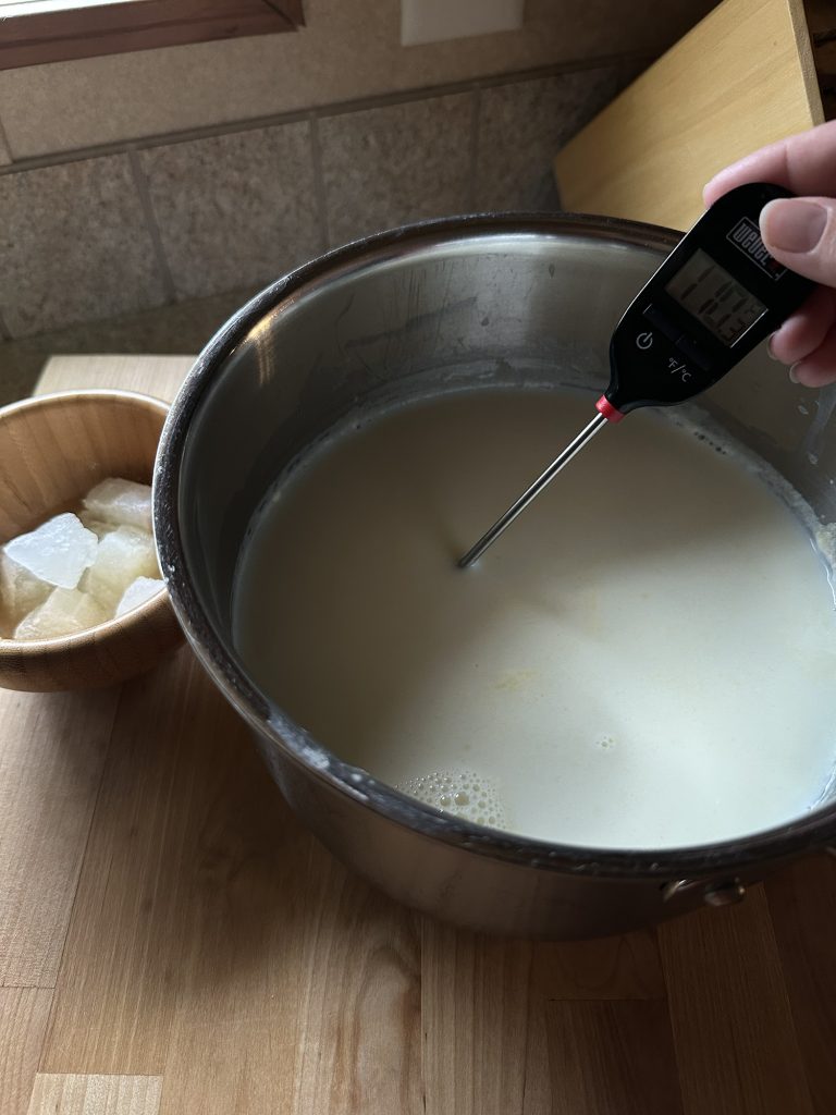 taking temperature of raw milk on counter top