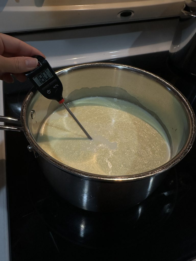taking temperature of raw milk milk with a thermometer on stove 