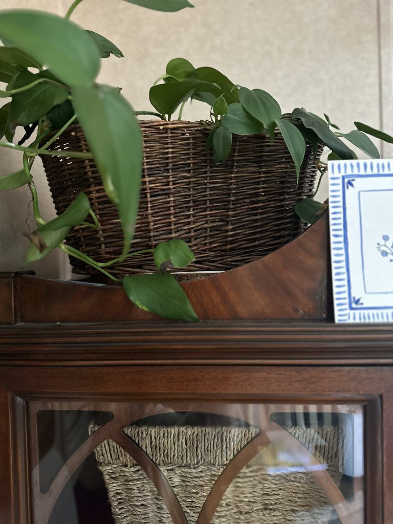 Old wicker basket with plants in it sitting on top of shelf for simple spring thrifted decor gems